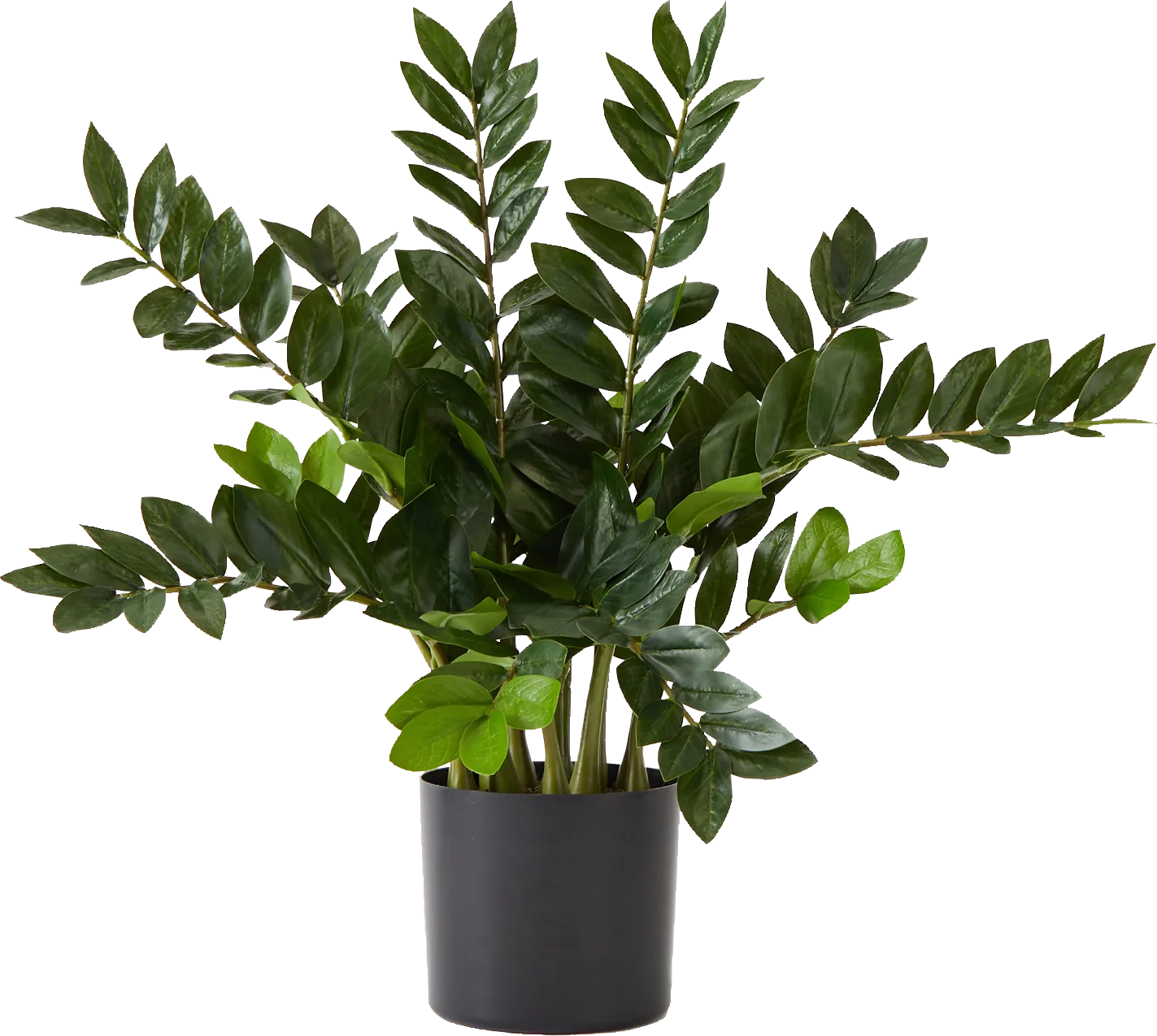 Abejorro Green Plant with Planter - Image 1
