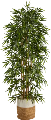 Cacatua Green Tree with Basket