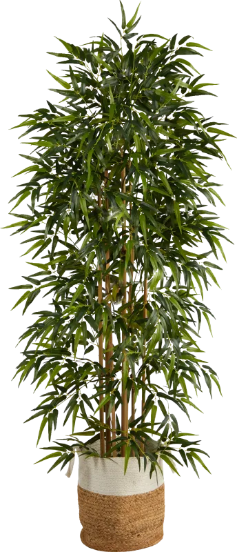 Cacatua Green Tree with Basket