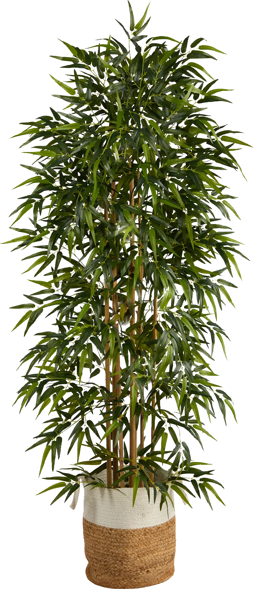 Cacatua Green Tree with Basket