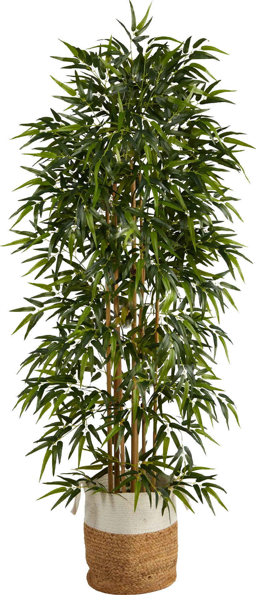 Cacatua Green Tree with Basket - Image 1