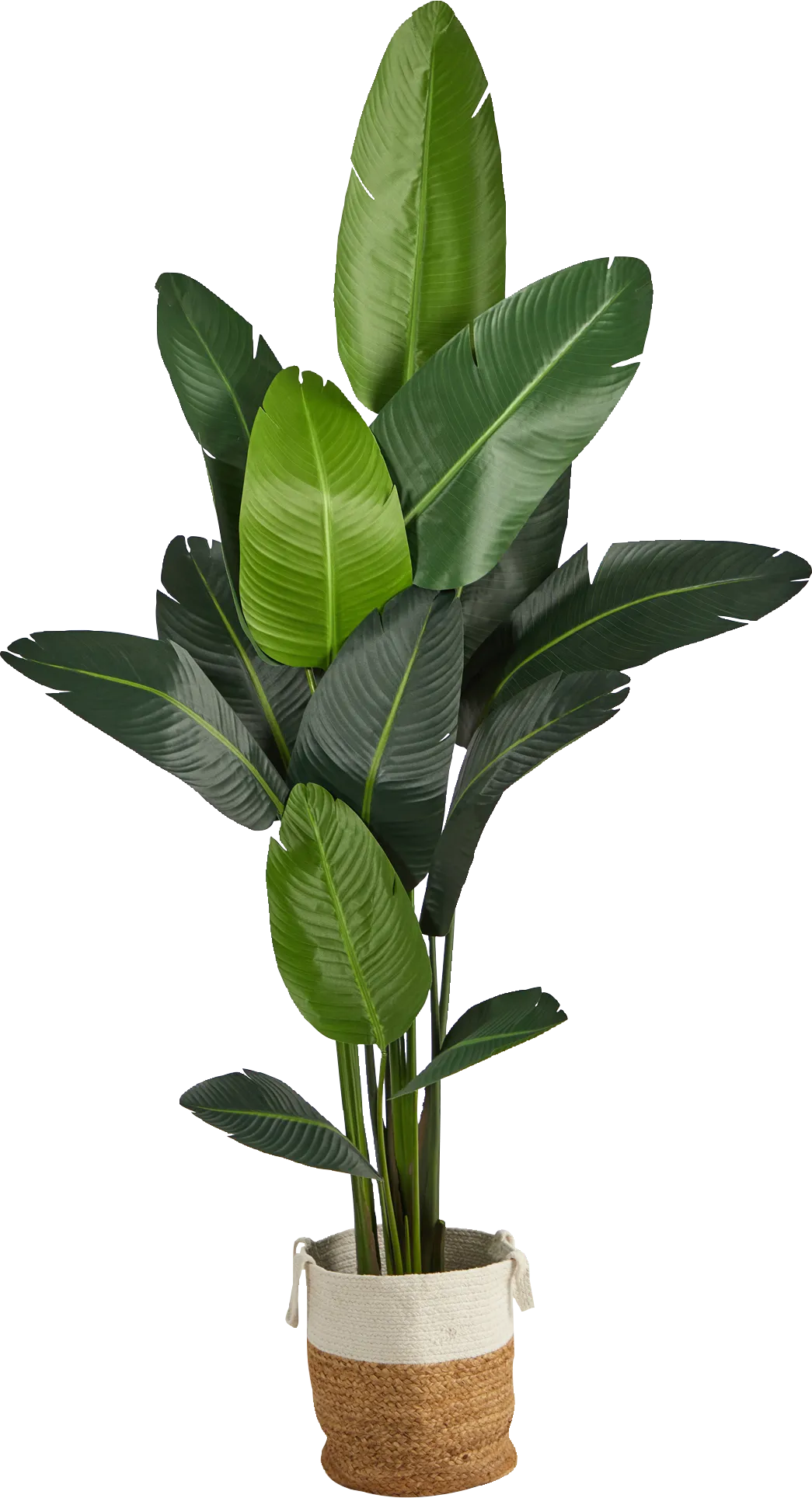 Candsu Green Tree with Basket - Thumbnail - Image 1