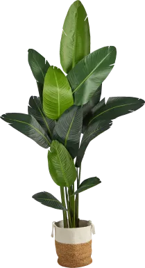 Candsu Green Tree with Basket