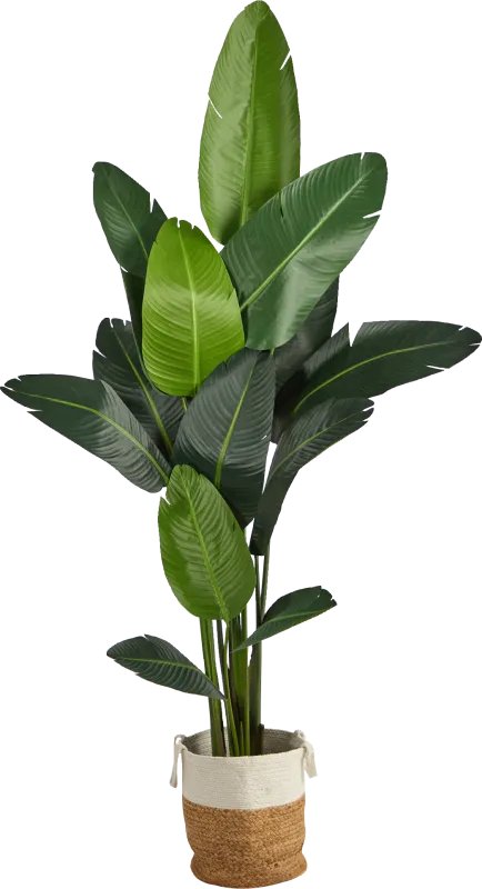 Candsu Green Tree with Basket