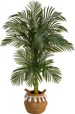 Capazo Green Tree with Basket