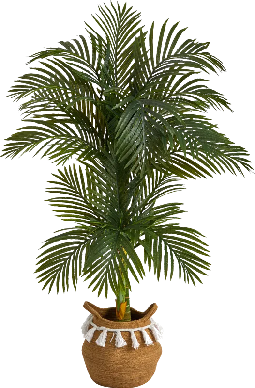 Capazo Green Tree with Basket