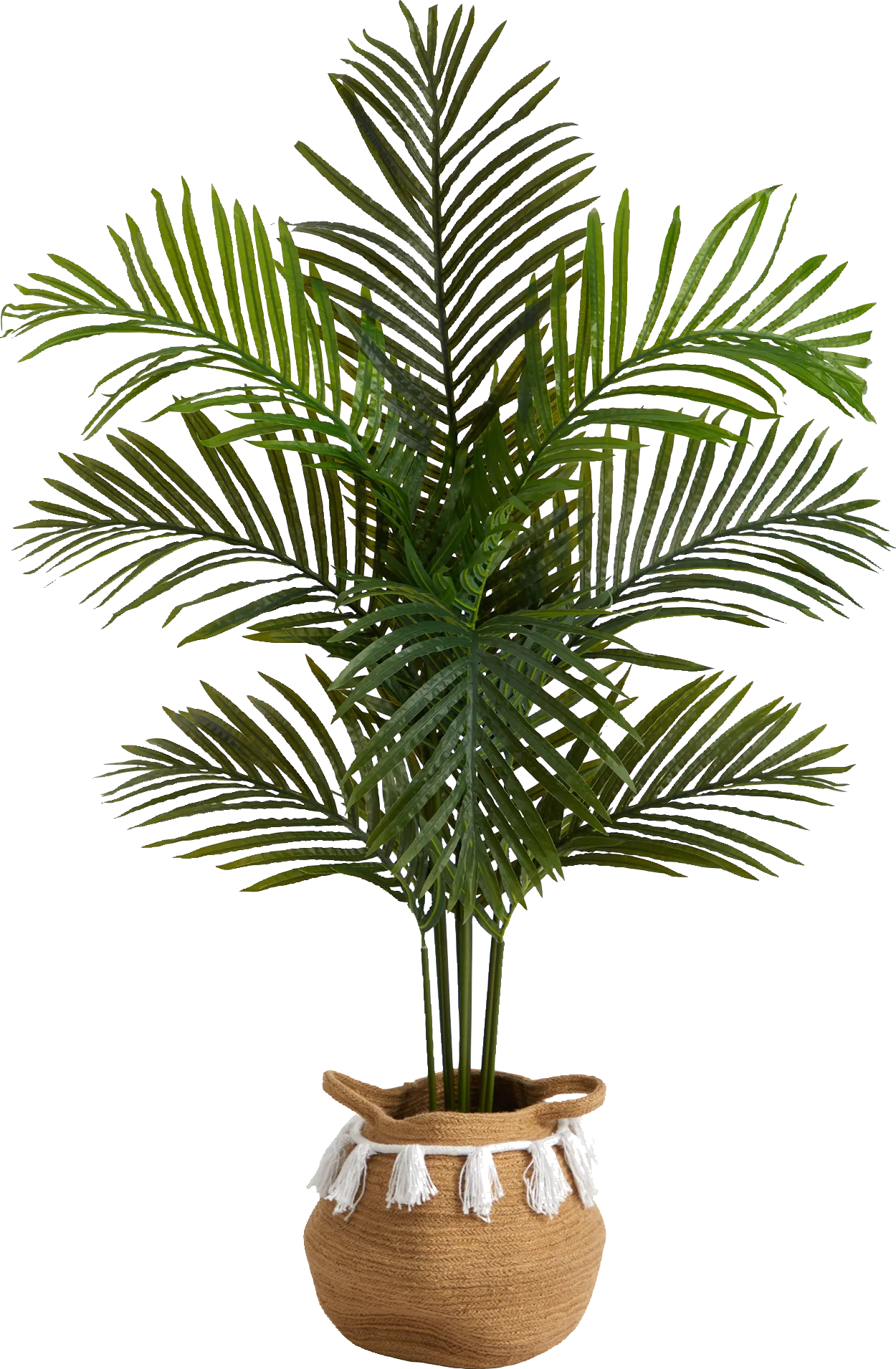 Caurina Green Tree with Basket - Thumbnail - Image 1