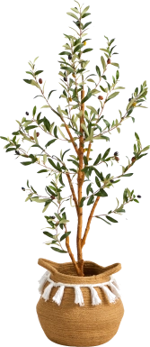 Caurinn Green Tree with Basket