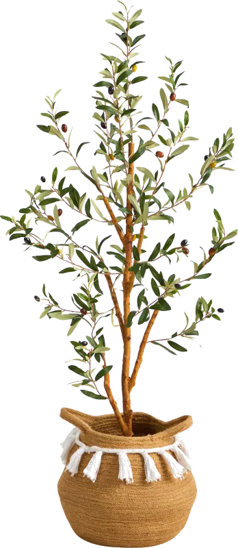 Caurinn Green Tree with Basket