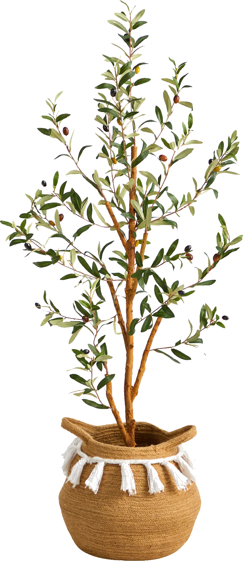 Caurinn Green Tree with Basket - Image 1