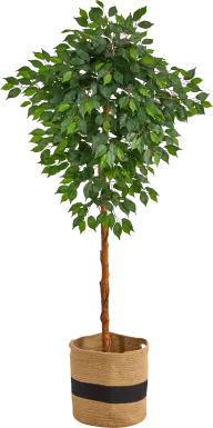 Cipriano Green Tree with Basket