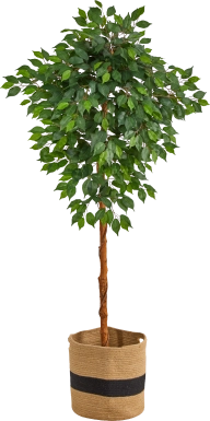 Cipriano Green Tree with Basket