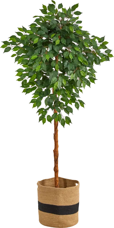 Cipriano Green Tree with Basket