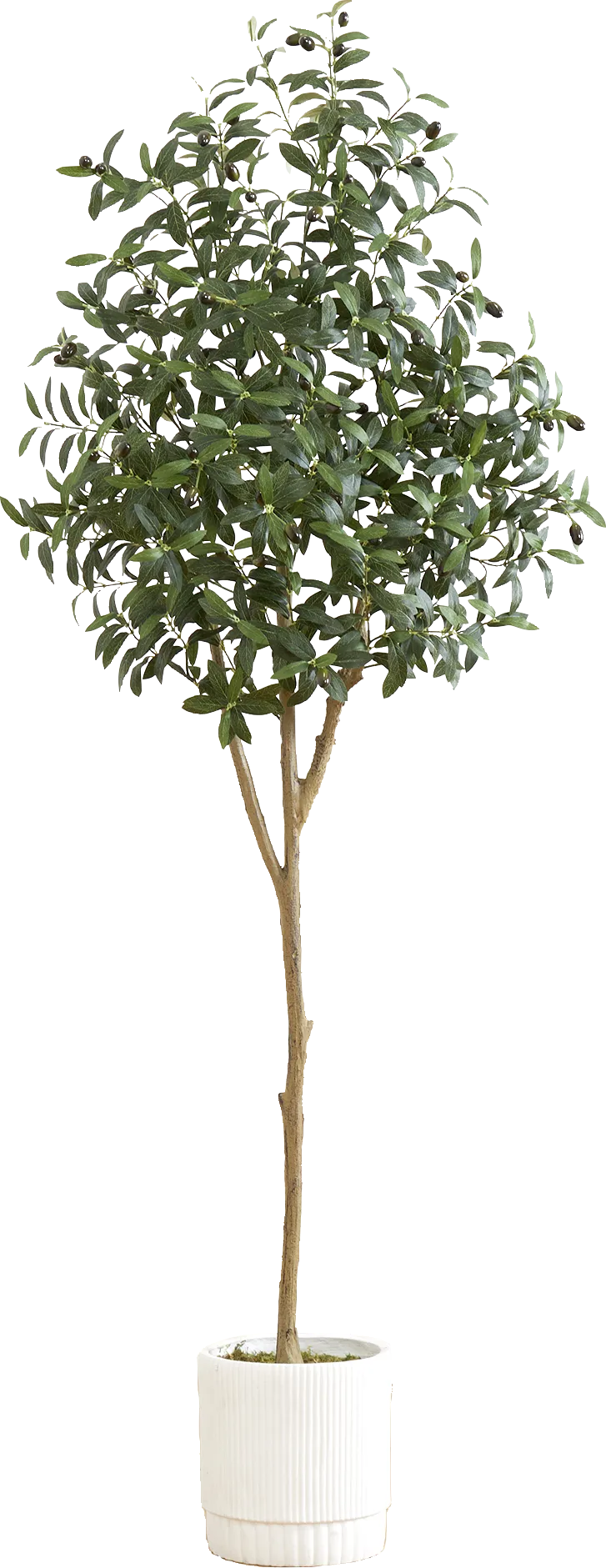 Corvidae Green Tree with Planter