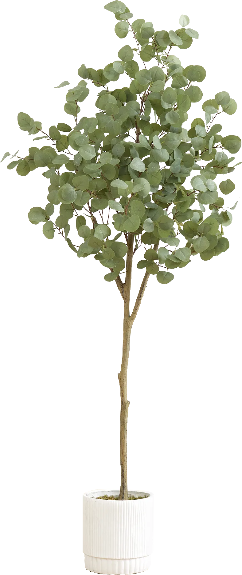 Docena Green Tree with Planter - Image 1