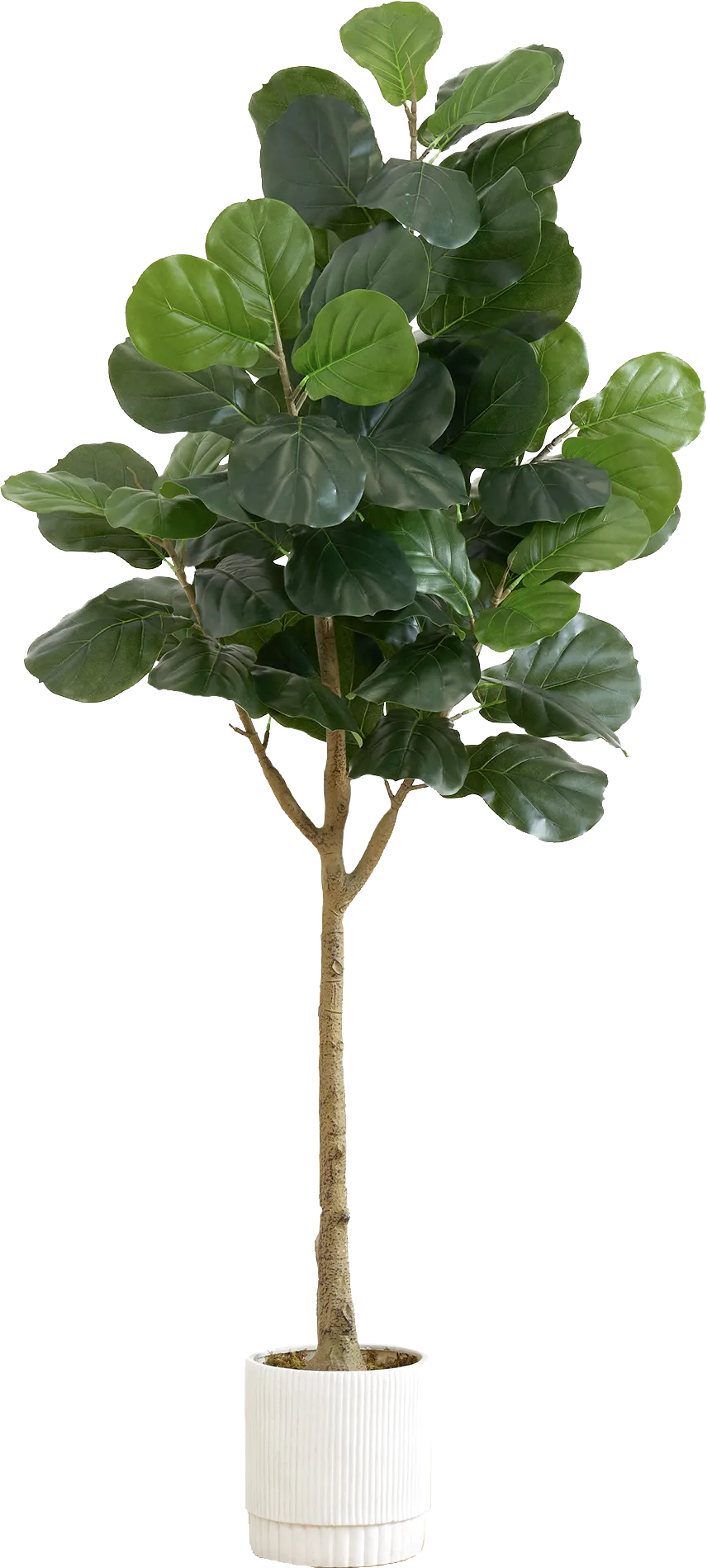 Esturion Green Tree with Planter - Image 1