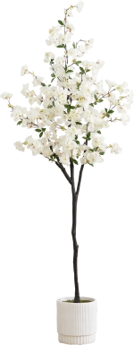 Frenata White Tree with Planter