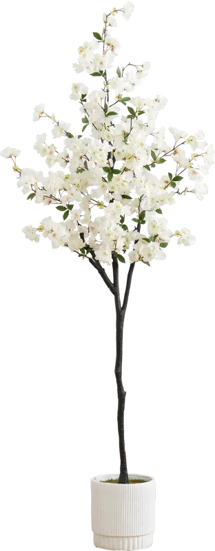 Frenata White Tree with Planter