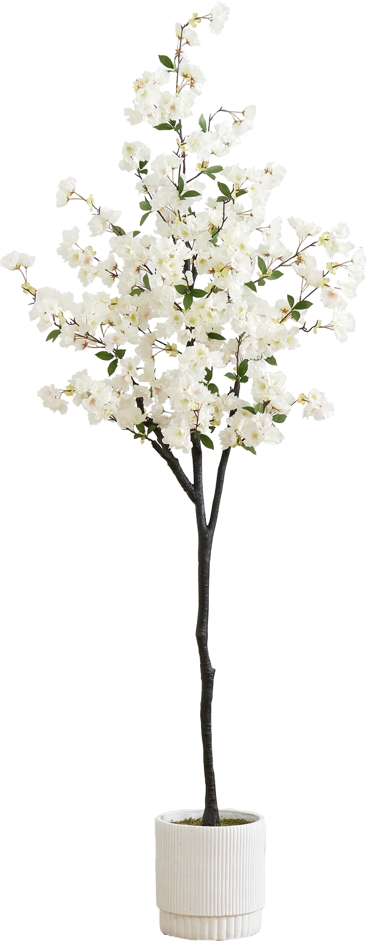 Frenata White Tree with Planter - Image 1