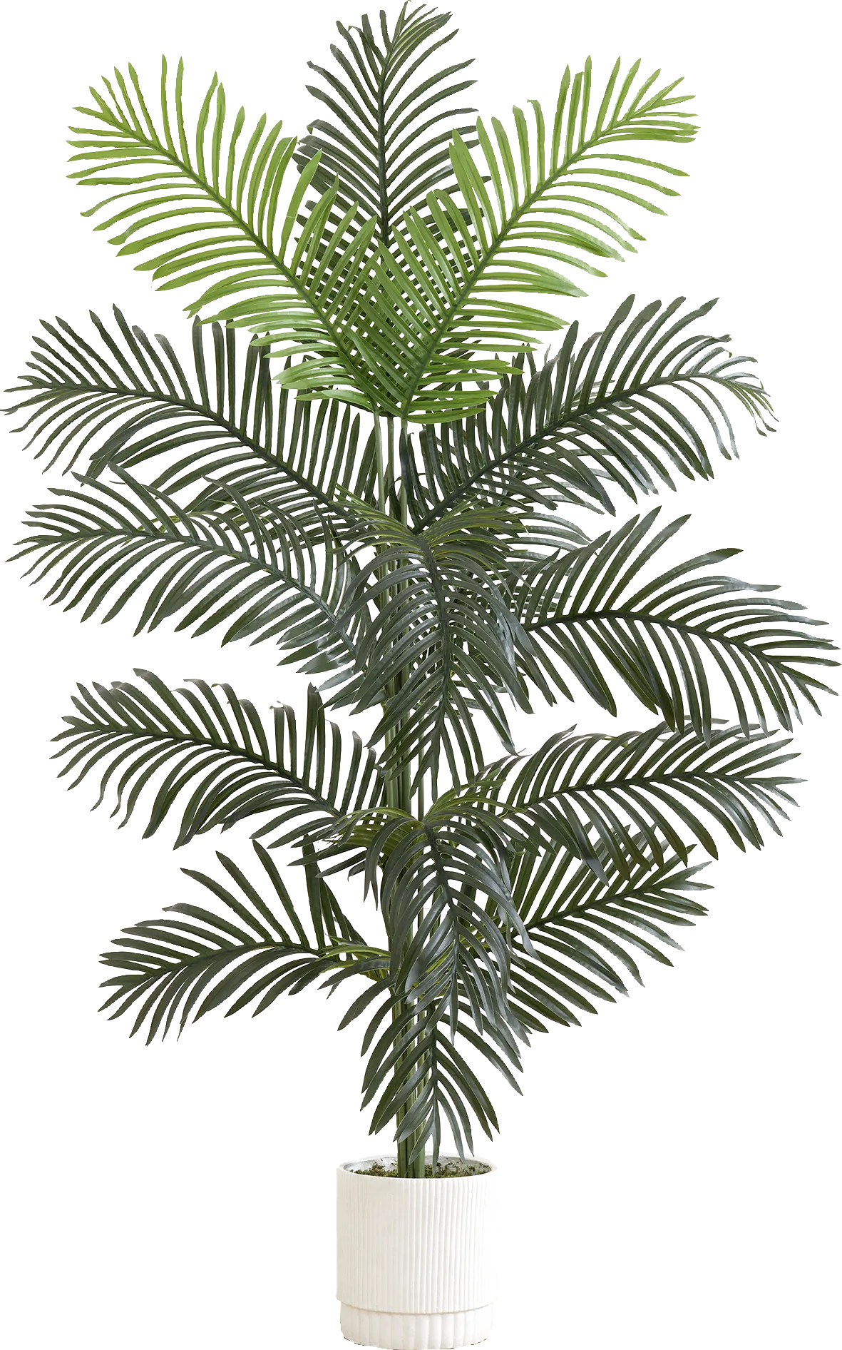 Grivetta Green Tree with Planter - Image 1