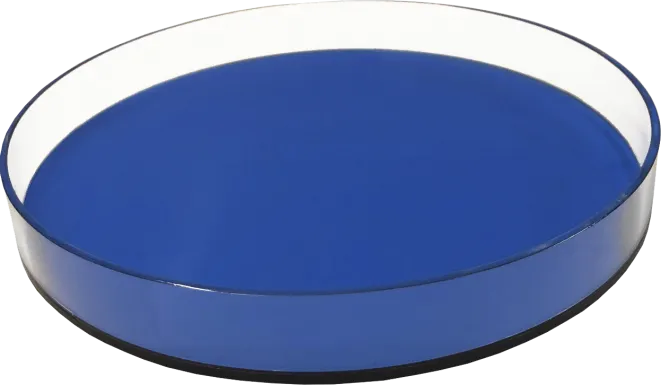 Jadelane I Neon Blue Tray