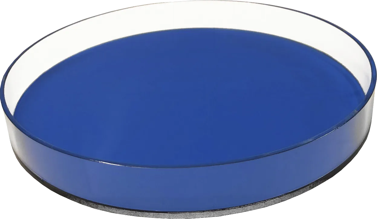 Jadelane I Neon Blue Tray