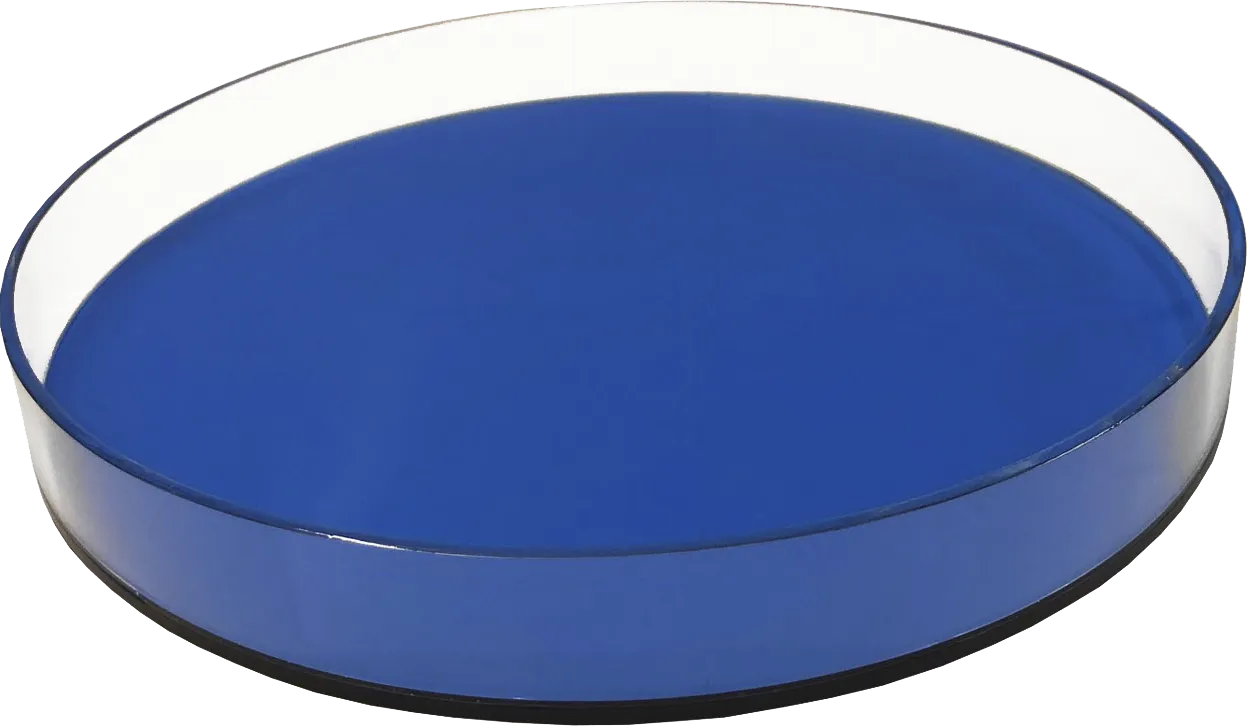 Jadelane I Neon Blue Tray - Image 1