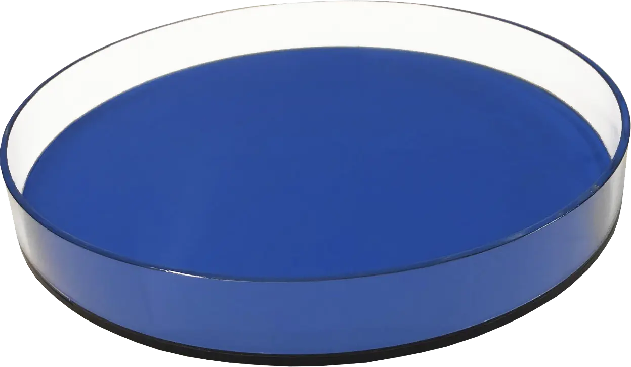 Jadelane I Neon Blue Tray