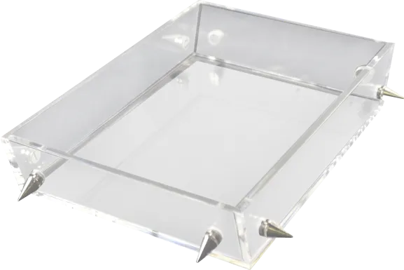 Digbo Clear/Silver Tray, Small