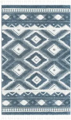 Paari Blue 10' x 14'1 Rug
