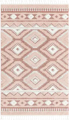 Paari Pink 10' x 14'1 Rug
