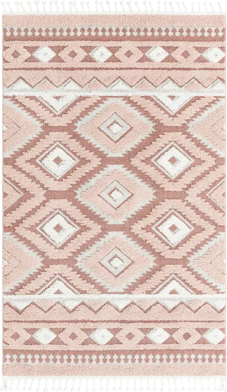 Paari Pink 10' x 14'1 Rug