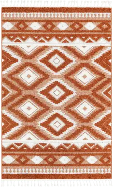 Paari Rust 10' x 14'1 Rug