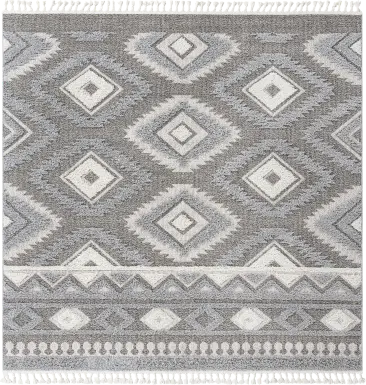Paari Gray 10' x 14'1 Rug