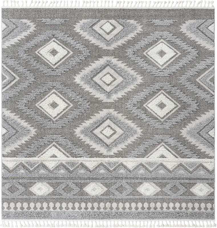 Paari Gray 10' x 14'1 Rug