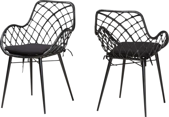Sigourney Black Dining Chairs, Set of 2