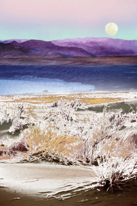 Shawstone Multi Canvas Artwork