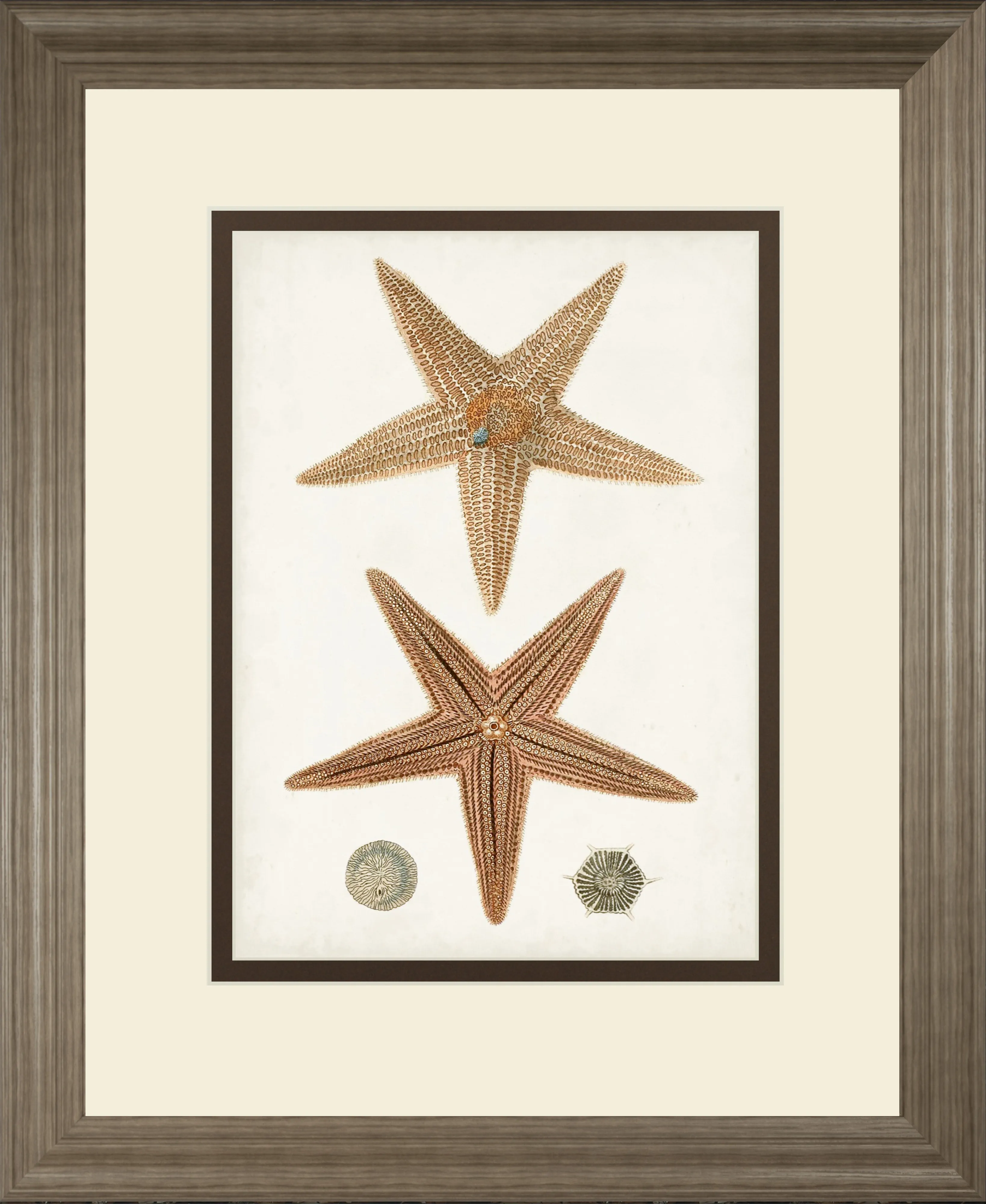 Rempart Brown Framed Wall Art