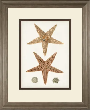 Rempart Brown Framed Wall Art