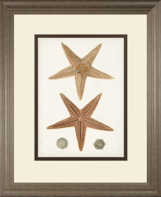 Rempart Brown Framed Wall Art
