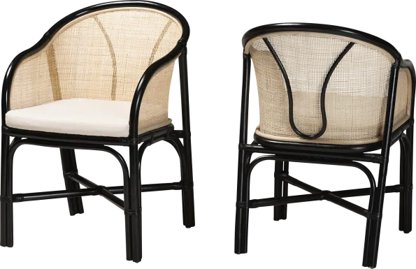 Branchaud Natural Arm Chair, Set of 2