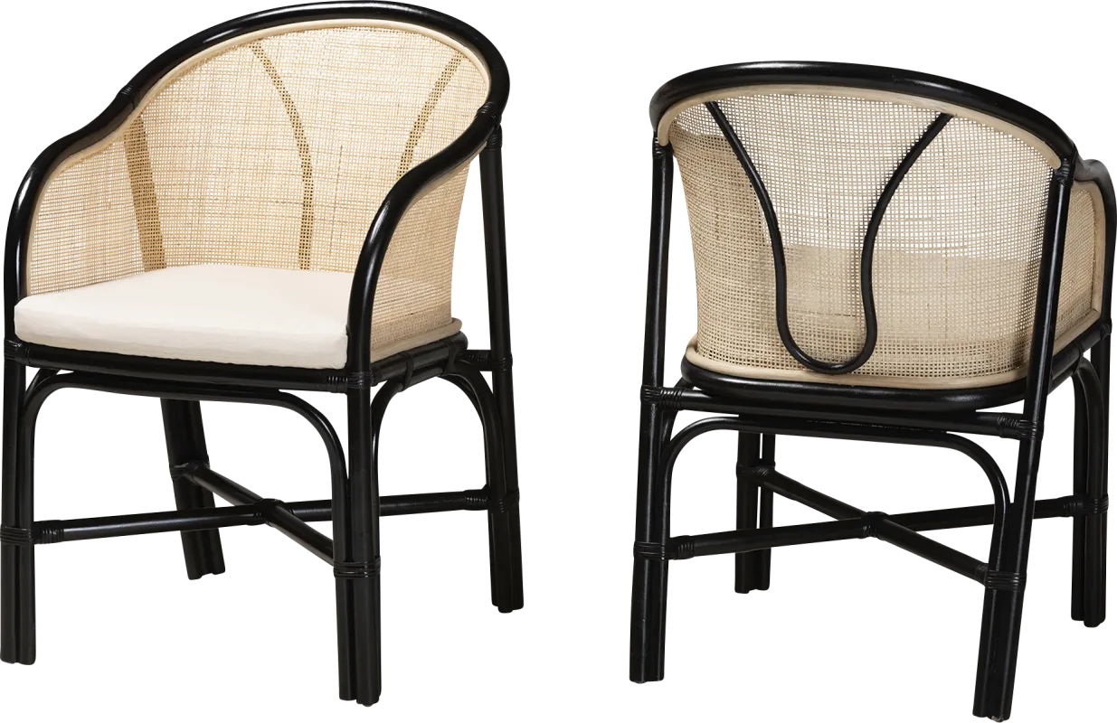 Branchaud Natural Arm Chair, Set of 2