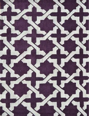 Qantio Purple 5' x 7' Indoor/Outdoor Rug
