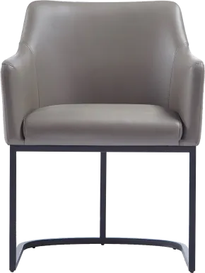 Truche Gray Arm Chair