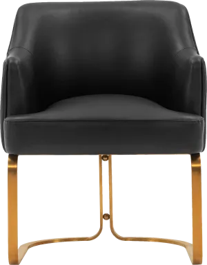 Pegan Black Arm Chair