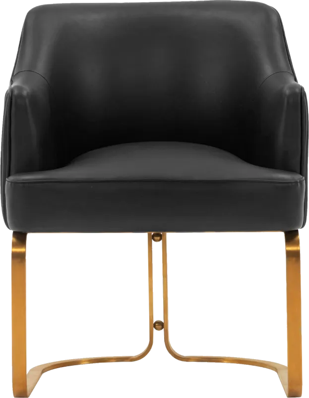 Pegan Black Arm Chair