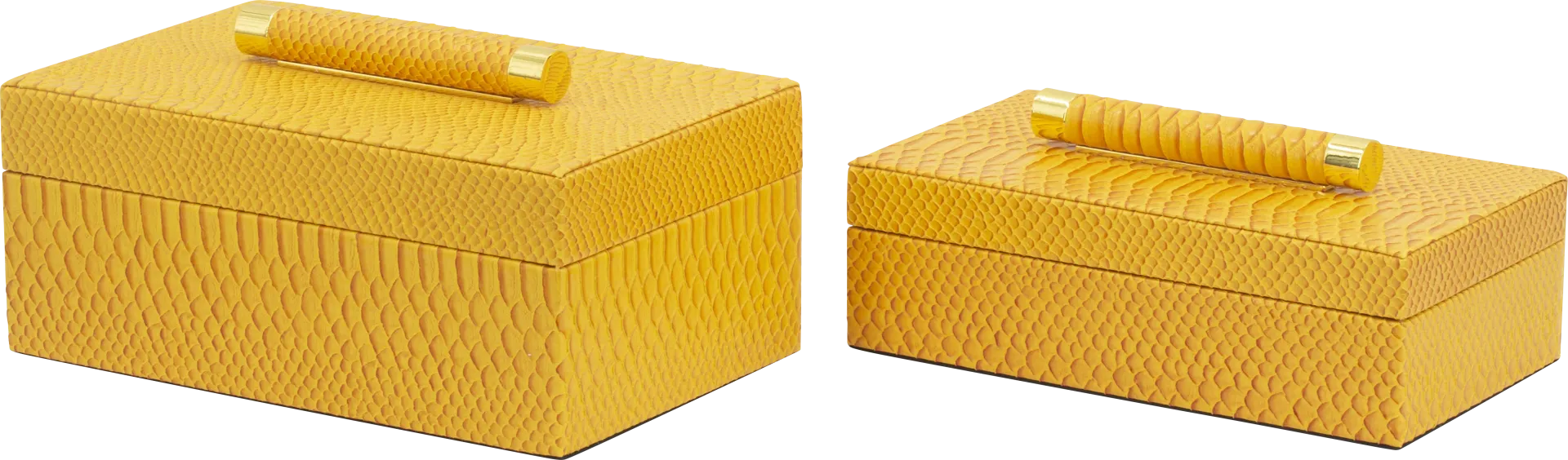 Lemonwell Orange Box, Set of 2 - Image 1