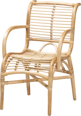 Gerlaugh Natural Arm Chair