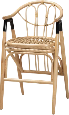 Graustark Natural Counter Stool