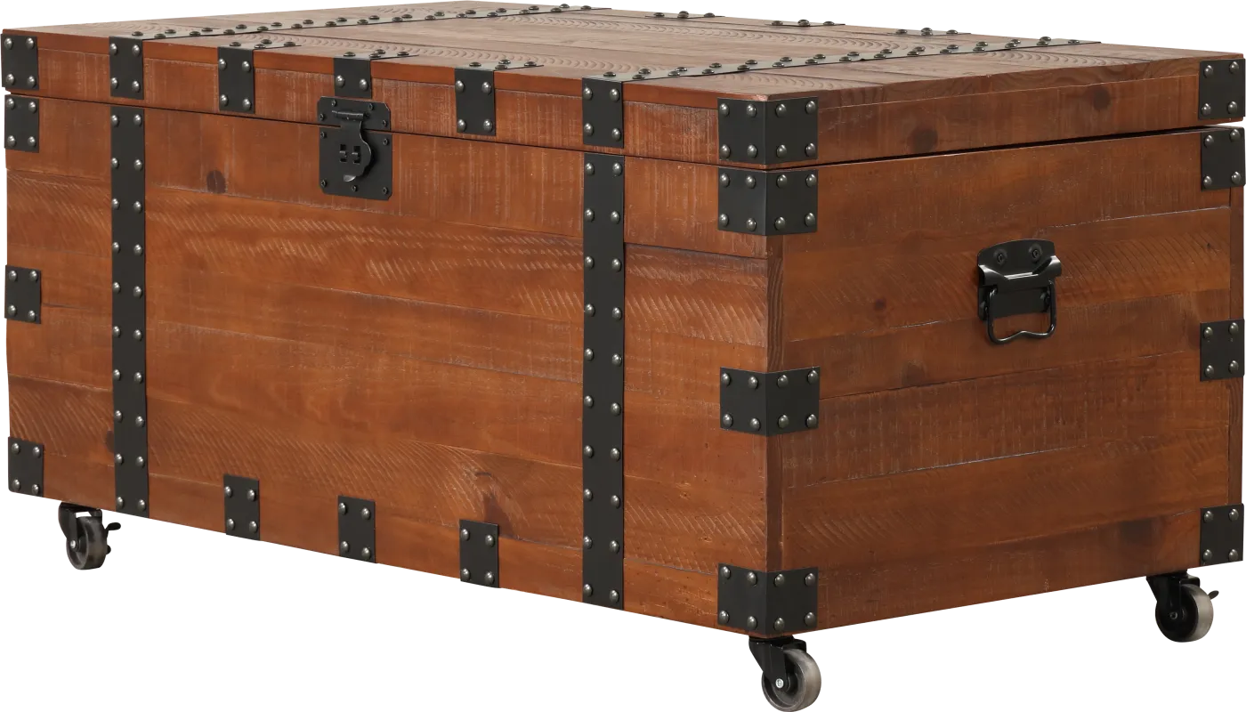 Bonavesta Brown Storage Trunk